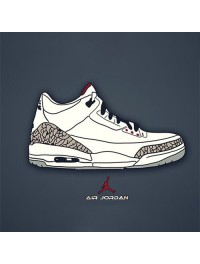 Air Jordan 3 (43)