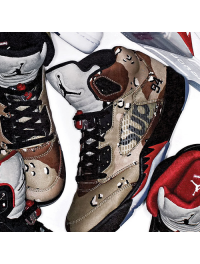 Air Jordan 5 (46)