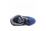 (Free Shipping)Jordan 3 Retro Varsity Royal Cement CT8532-400