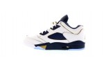 (Free Shipping)Jordan 5 Retro Low Dunk From Above 819171-135