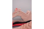 (Free Shipping)Jordan 5 Low Girls That Hoop DA8016-806