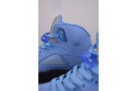 (Free Shipping)Air Jordan 5 Concord DV1310-401