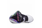 (Free Shipping)Jordan 5 Retro Alternate Bel-Air DB3335-100