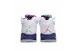 (Free Shipping)Jordan 5 Retro Alternate Bel-Air DB3335-100