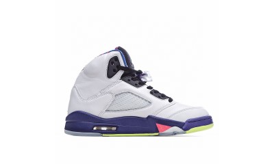 (Free Shipping)Jordan 5 Retro Alternate Bel-Air DB3335-100