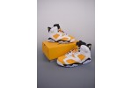 (Free Shipping)Jordan 6 Retro Yellow Ochre CT8529-170