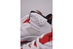 (Free Shipping)Jordan 6 Retro Hare CT8529-062