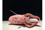 (Free Shipping)Jordan 6 Retro Aleali May CI0550-600