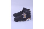 (Free Shipping)Jordan 6 Retro DMP (2020) CT4954-007