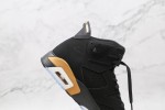 (Free Shipping)Jordan 6 Retro DMP (2020) CT4954-007