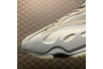 (Free Shipping)Adidas Yeezy Boost 700 V2 Inertia FW2549