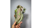 (Free Shipping)Nike Shox Ride 2 SP Supreme Olive DN1615-200