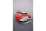 (Free Shipping)Nike Air Max 1 Live Together, Play Together DC1478-100