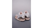 (Free Shipping)Jordan 3 Retro Neapolitan Dark Mocha (W) CK9246-102